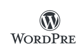 Menu capability in WordPress