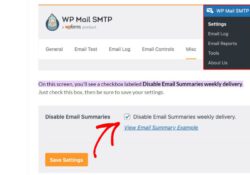 Disable Email Summaries weekly delivery in WP Mail SMTP